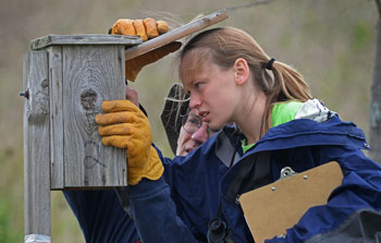 SMLC Volunteers checking bluebird boxes. Photo by Charles Scott