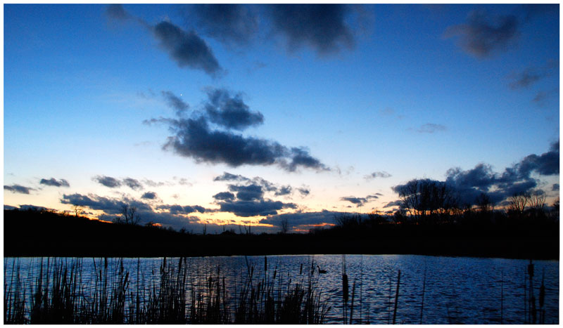 LeFurge Woods Nature Preserve. Photo by Charles Scott